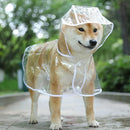 Capa de Chuva para Pet