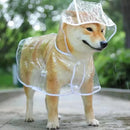 Capa de Chuva para Pet