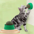Bola de Catnip Adesiva para Gatos