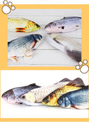 Peixe Mexe Mexe