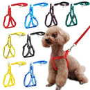 Coleira de Duplo Fechamento para Pets Pequenos