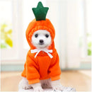 Moletom Fantasia das Frutas para Pet