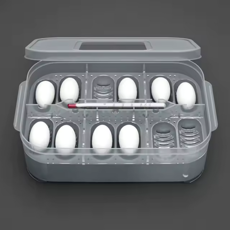 Incubadora de Ovos para Répteis - 12 Compartimentos