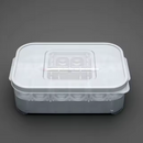 Incubadora de Ovos para Répteis - 12 Compartimentos