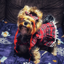 Vestido Xadrez com Laço