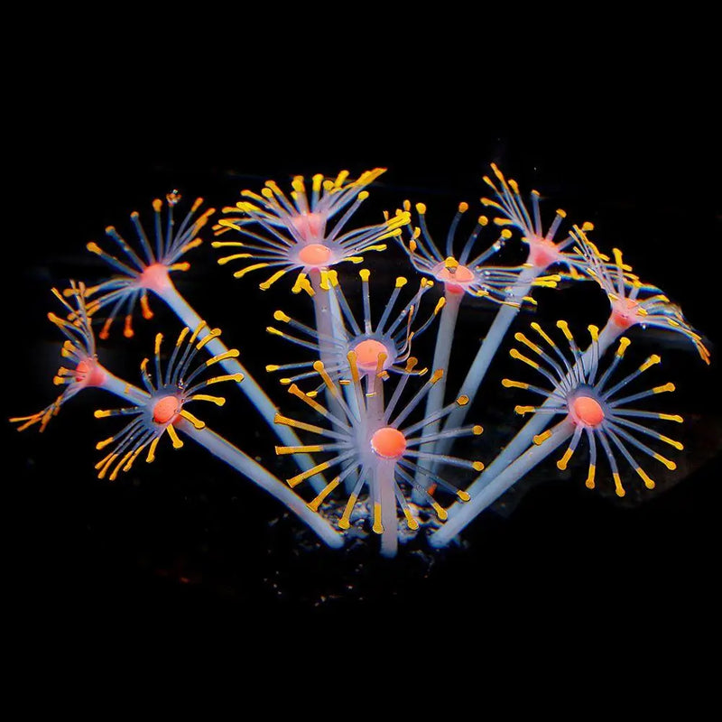 Coral Artificial Fluorescente para Aquário