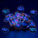 Coral Artificial Fluorescente para Aquário
