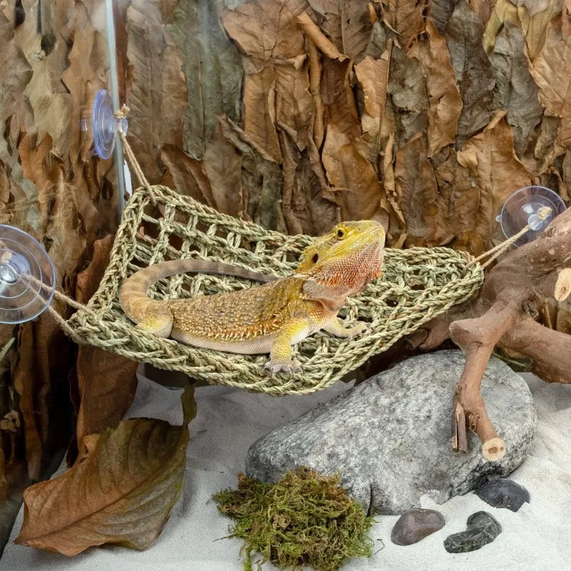 Cama de Palha com Rede Natural para Répteis