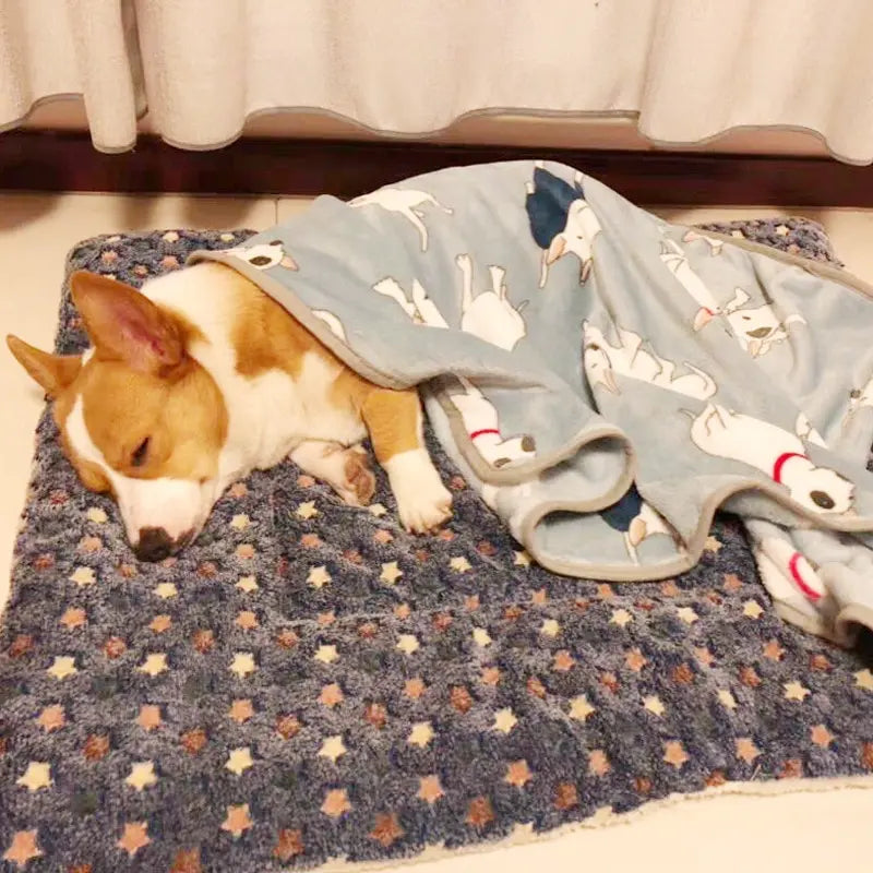 Cama Flanelada Quentinha