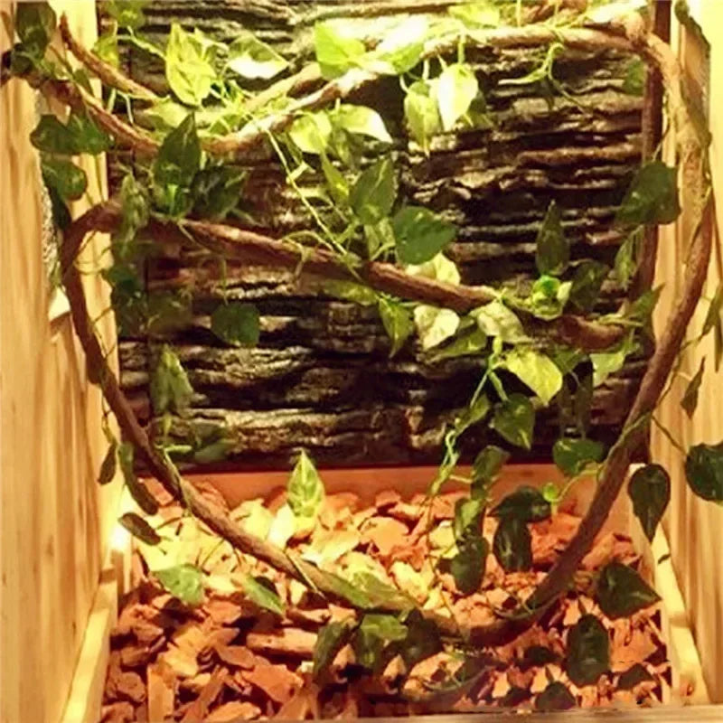Videira Flexível para Terrário