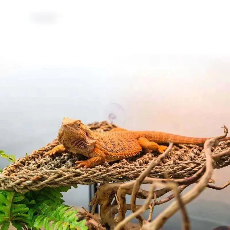 Cama de Palha com Rede Natural para Répteis