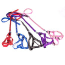 Coleira de Duplo Fechamento para Pets Pequenos