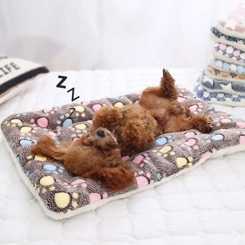 Cama Flanelada Quentinha