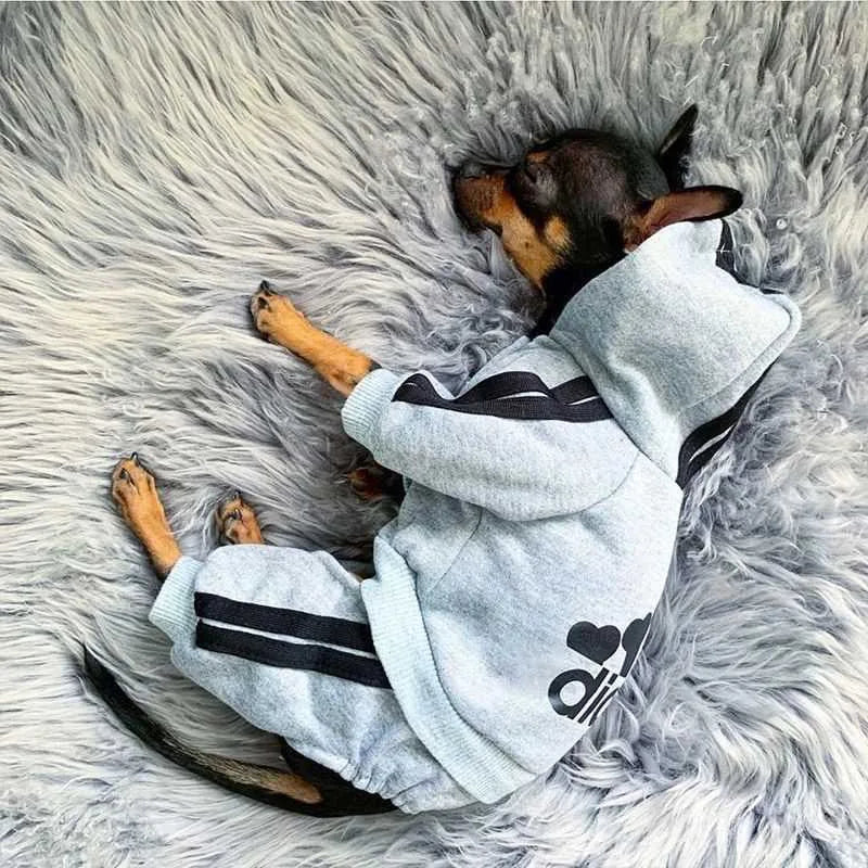 Moletom "Adidog"