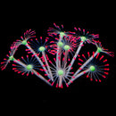 Coral Artificial Fluorescente para Aquário