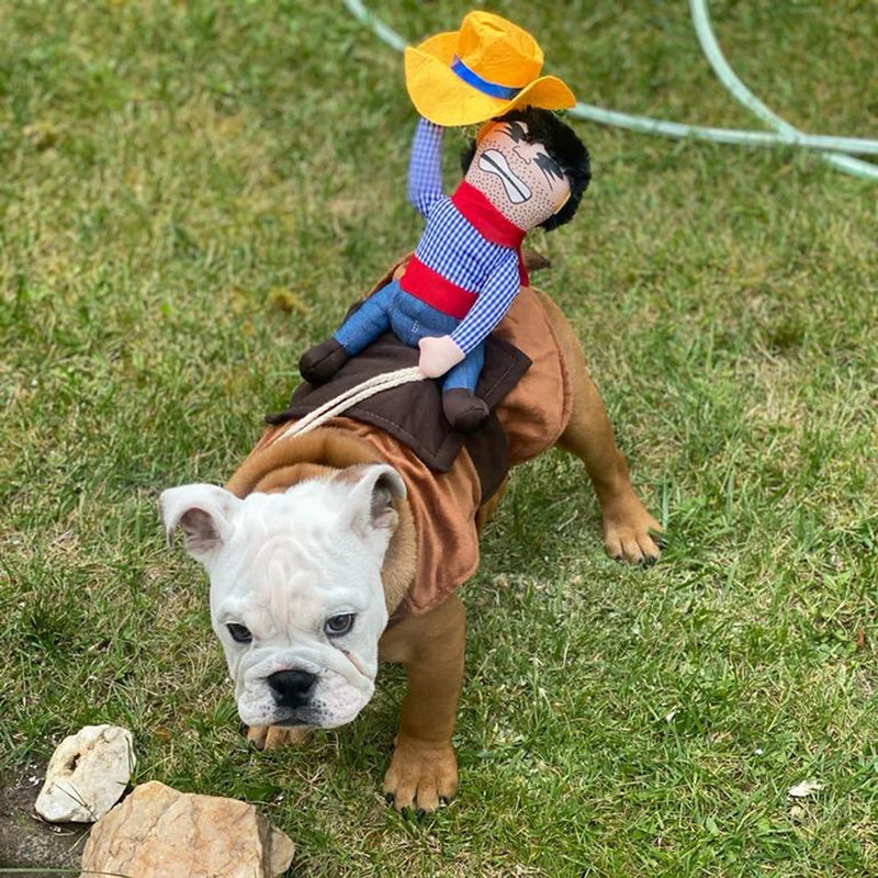 Fantasia de Cowboy