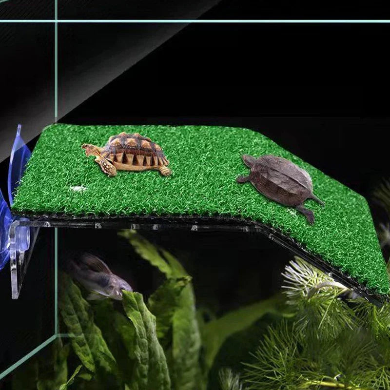 Plataforma Flutuante com Grama Artificial para Tartarugas