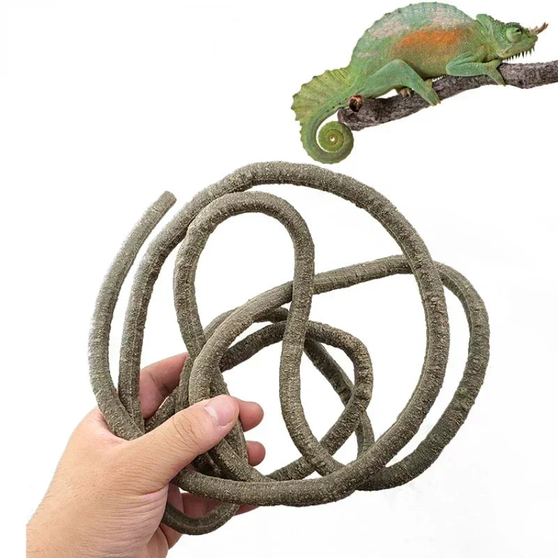 Videira Flexível para Terrário