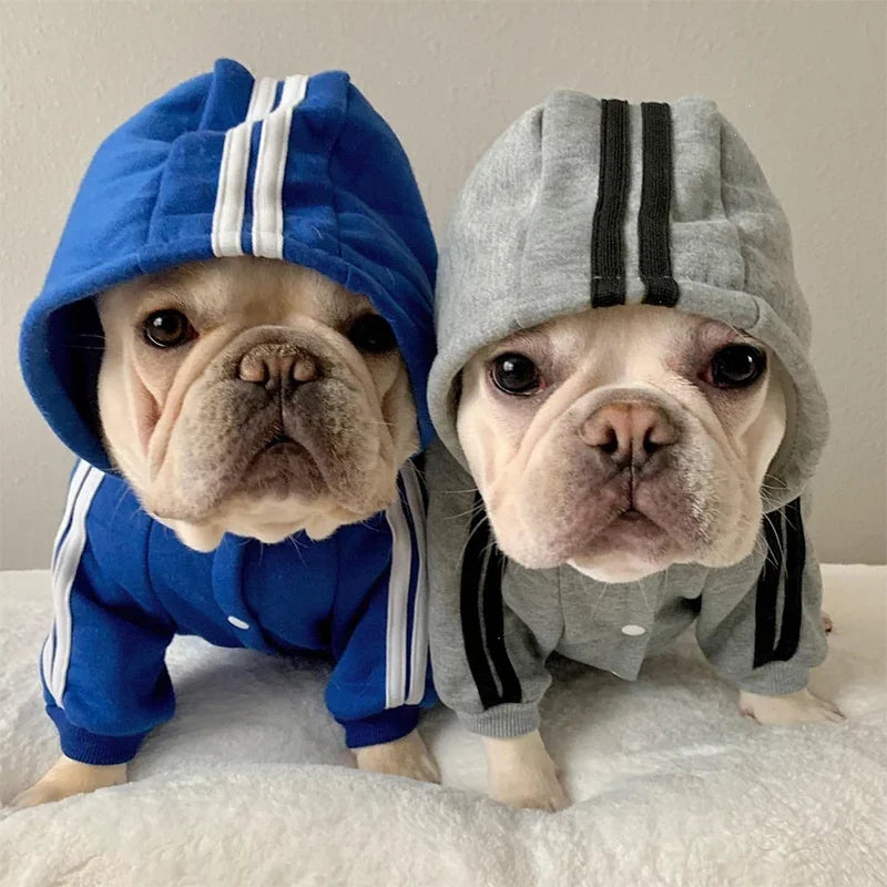 Moletom "Adidog"