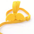 Arnês Ajustável e Conjunto de Trela Anti-Mordida