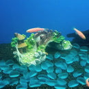 Ponte Artificial em Resina