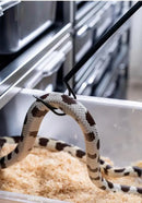 Gancho Retrátil Profissional para Captura de Répteis