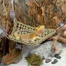 Cama de Palha com Rede Natural para Répteis