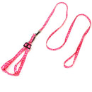 Coleira de Duplo Fechamento para Pets Pequenos