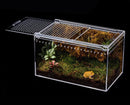Caixa de Criação Acrílica para Répteis